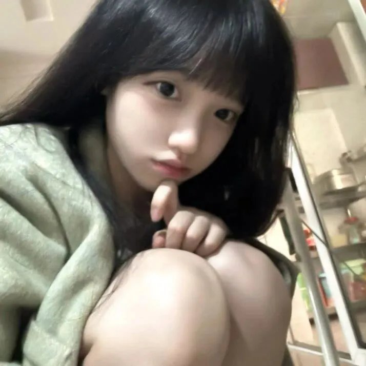 圣痕炼金士第二季